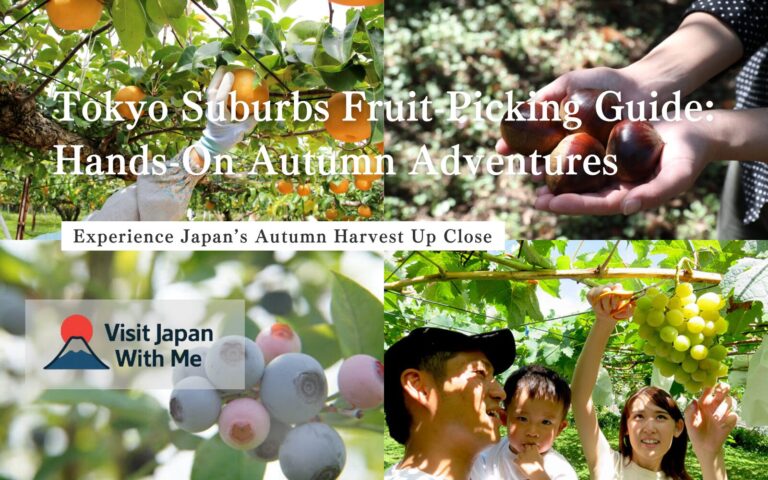🍇Tokyo Suburbs Fruit-Picking Guide: Hands-On Autumn Adventures