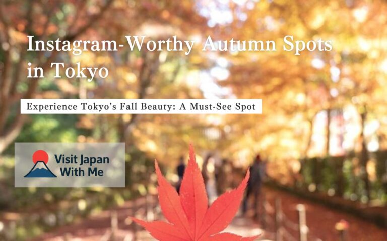 Instagram-Worthy Autumn Spots in Tokyo 🍁 – Complete Travel Guide